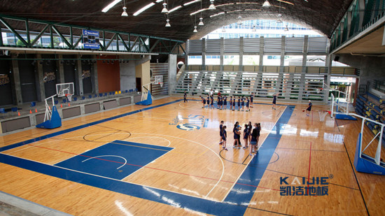 專業籃球場地劃線和相關配套設施的標準