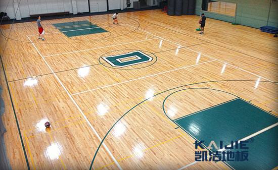 籃球運動木地板:有蟲蛀,怎么辦?