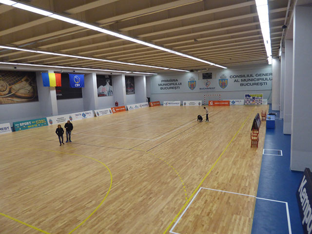 籃球木地板結(jié)構(gòu),運(yùn)動(dòng)木地板結(jié)構(gòu),體育木地板結(jié)構(gòu)