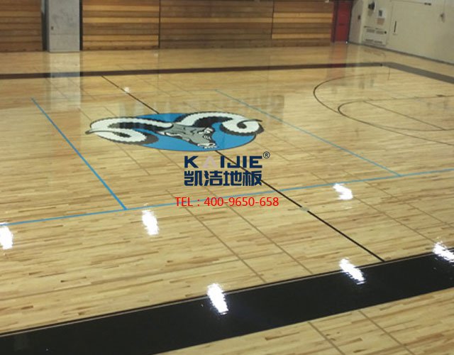 體育木地板,體育館專用運(yùn)動(dòng)木地板