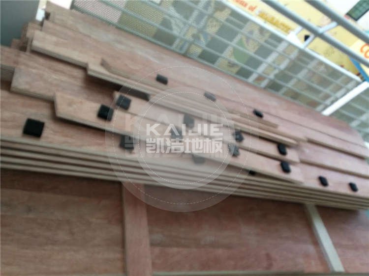 新加坡體育館木地板項目案例