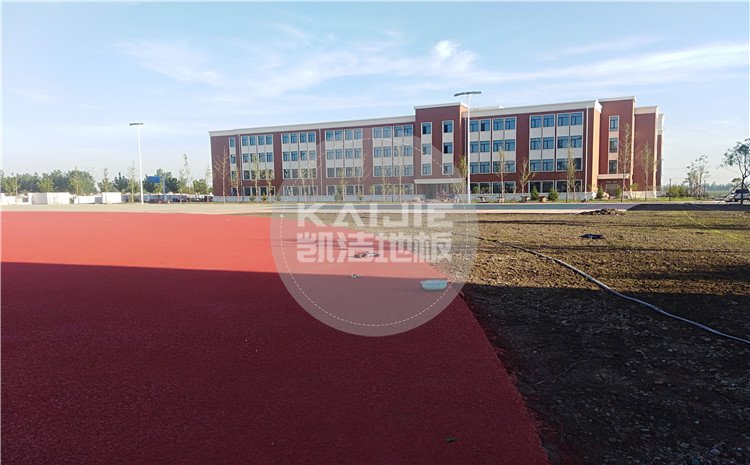 河北唐山蘆臺農場廠部中小學體育館木地板案例