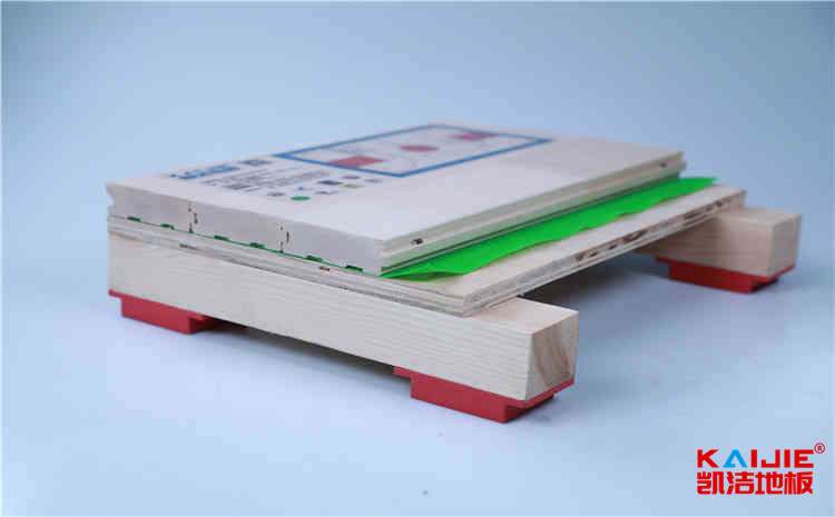 體育館木地板怎么做好預(yù)防白蟻